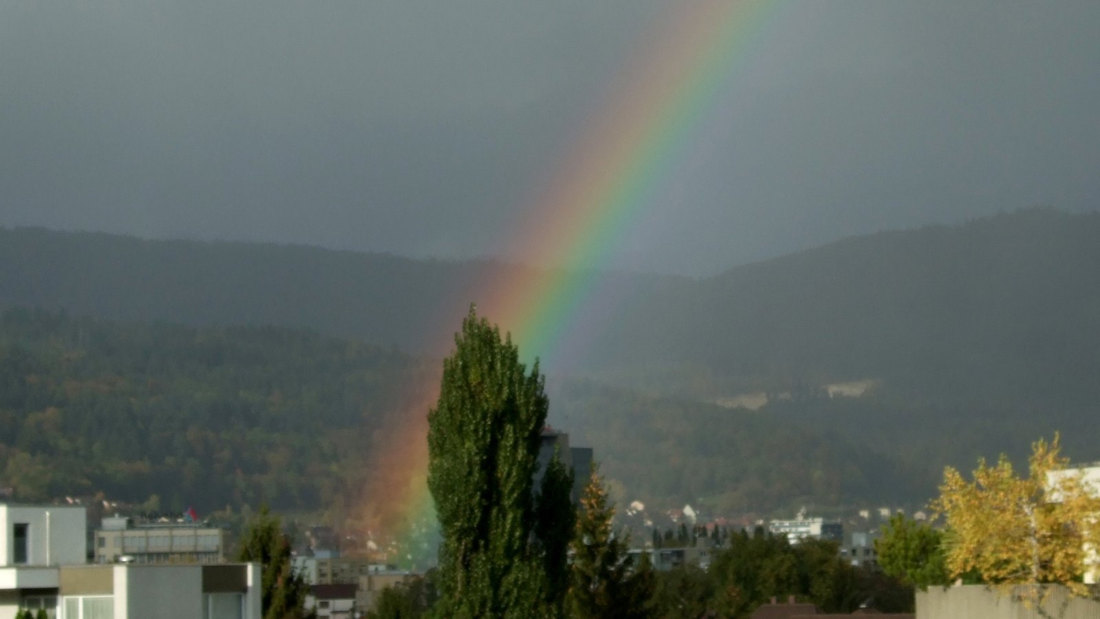 Rainbow 09